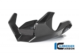 Carbon Ilmberger engine spoiler BMW R 1250 RS