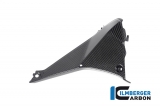 Juego cubre cockpit carbono Ilmberger BMW R 1250 RS
