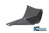 Juego cubre cockpit carbono Ilmberger BMW R 1250 RS