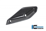 Carbon Ilmberger Verkleidungswinglet Set BMW R 1250 RS