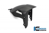 Protge roue avant carbone Ilmberger Ducati Diavel 1260