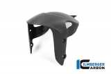 Protge roue avant carbone Ilmberger Ducati Diavel 1260