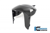 Protge roue avant carbone Ilmberger Ducati Diavel 1260