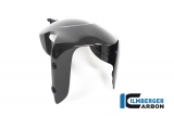 Protge roue avant carbone Ilmberger Ducati Diavel 1260