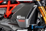 Carbon Ilmberger waterkoeler afdekset Ducati Diavel 1260
