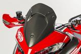 Koolstof Ilmberger windscherm Ducati Multistrada 1260 /S