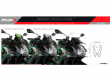 Puig cran sport Kawasaki Z H2