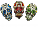 Calavera Puig Tankpad