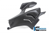 Carbon Ilmberger fairing side panel set Ducati Panigale V4 SP