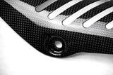 Kolfiber Ilmberger avgasvrmeskld p grenrr Ducati Monster 1200 S