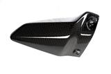 Talonera Ilmberger carbono derecha Ducati Monster 1200 S