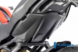 Carbon Ilmberger frame rear cover below Ducati Monster 1200 S