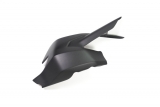 Carbon Ilmberger swingarm protector Ducati Monster 1200 S