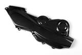 Carbon Ilmberger tandriemafdekking horizontaal Ducati Monster 1200 S