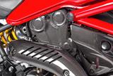 cache-courroie dente en carbone Ilmberger vertical Ducati Monster 821