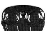 Carbon Ilmberger distributieriemkap verticaal Ducati Monster 821