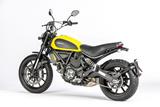 Carbon Ilmberger Kennzeichenhalter Ducati Scrambler Desert Sled