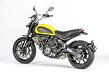 Carbon Ilmberger Vorderradabdeckung Ducati Scrambler Classic