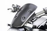 Carbon Ilmberger windshield incl. bracket Ducati XDiavel