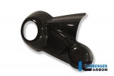 Carbon Ilmberger cardan housing BMW HP2 Megamoto