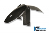 Guardabarros delantero Ilmberger de carbono BMW F 800 S/ST