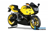 Carbon Ilmberger cardan housing cover BMW R 1200 S