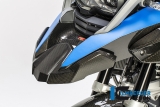 Carbon Ilmberger beak extension front BMW R 1200 GS