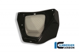 Carbon Ilmberger �lk�hlerabdeckung MV Agusta Brutale 750