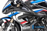 Juego de paneles laterales de carbono Ilmberger BMW S 1000 RR