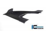 Set di carenature laterali in carbonio BMW S 1000 RR