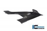 Set di carenature laterali in carbonio BMW S 1000 RR
