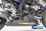 Spoiler motor Ilmberger carbono incl. kit de montaje BMW S 1000 R