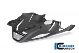 Spoiler motor Ilmberger carbono incl. kit de montaje BMW S 1000 R