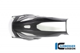 Spoiler motor Ilmberger carbono incl. kit de montaje BMW S 1000 R