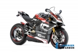 ailerons en carbone Ilmberger Ducati Panigale V4