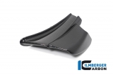 ailerons en carbone Ilmberger Ducati Panigale V4