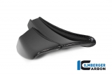 ailerons en carbone Ilmberger Ducati Panigale V4