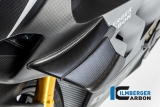 ailerons en carbone Ilmberger Ducati Panigale V4