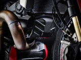 grille de protection de radiateur Performance Ducati Monster 1200 S