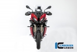 Carbon Ilmberger framhjulsskydd BMW S 1000 XR