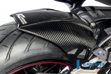 Carbon Ilmberger Bakhjulsskydd med kedjeskydd BMW S 1000 XR