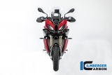 Carbon Ilmberger achterwielhoes met kettingbeschermer BMW S 1000 XR