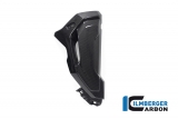 Carbono Ilmberger agua refrigerador carenado conjunto BMW S 1000 XR