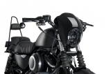 Guardia lampada personalizzata Acces Warrior Harley Davidson