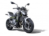 Performance Khlerschutzgitter Kawasaki Z650