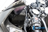 Supporto per tachimetro in carbonio da corsa BMW M 1000 RR