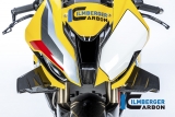 Carenatura anteriore in carbonio Ilmberger Racing BMW M 1000 RR