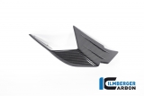 Winglets de carbono Ilmberger Original derecho BMW M 1000 RR