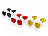 Ducabike Windsreen Screws Kit Ducati Multistrada V4