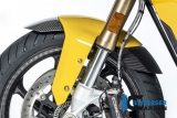 Estensione in carbonio del copriruota anteriore originale BMW S 1000 XR